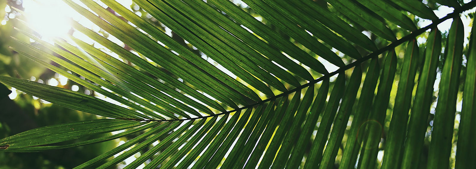Künstliche Palmenblätter