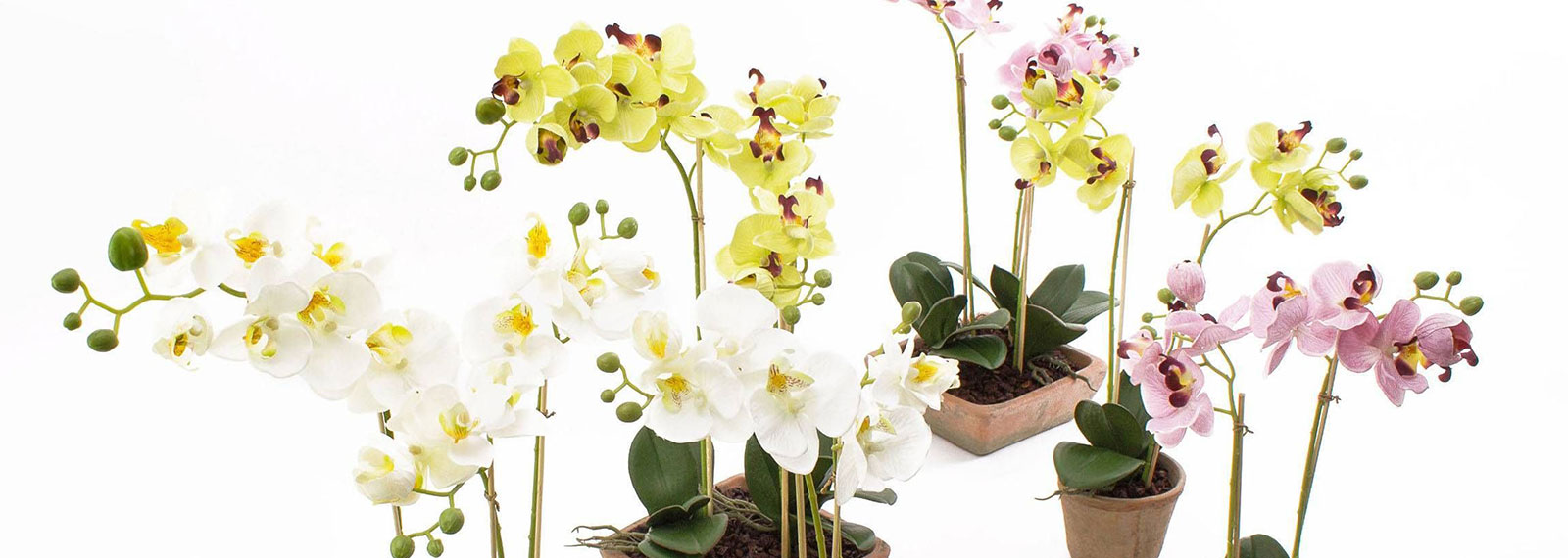 Künstliche Orchideen