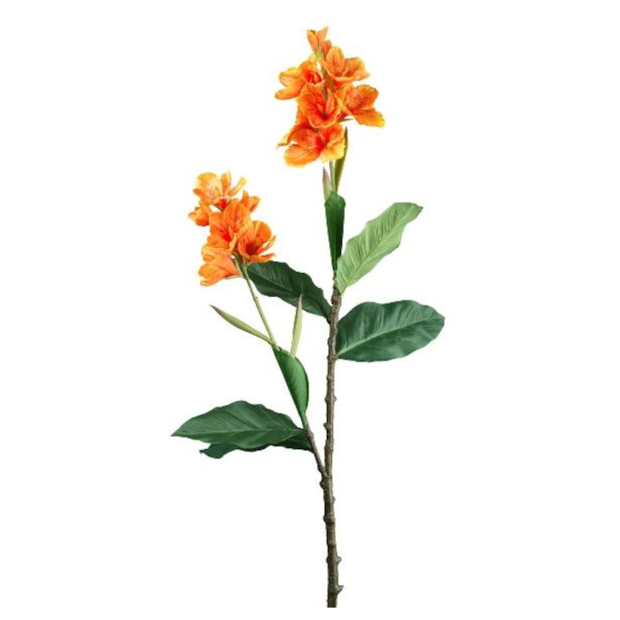 Blumenrohr