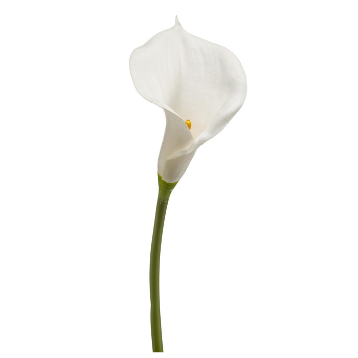 Callas