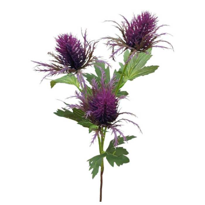 Edeldistel
