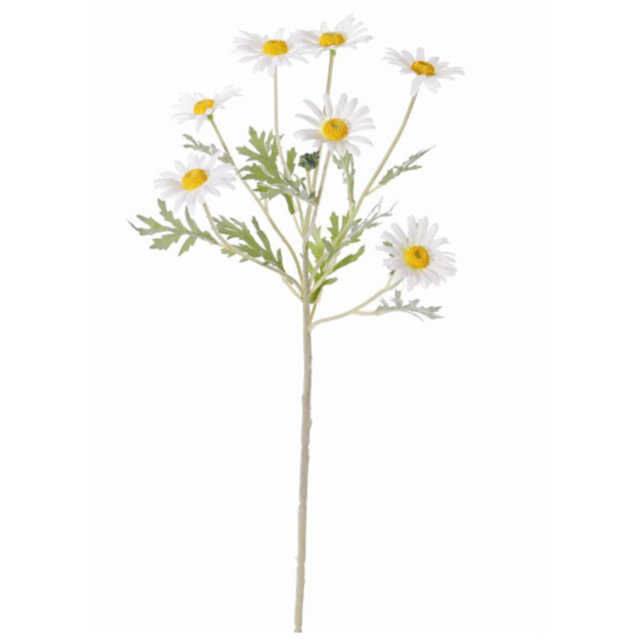 Margerite