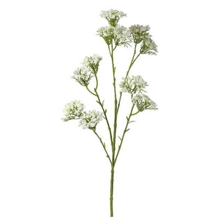 Schafgarbe