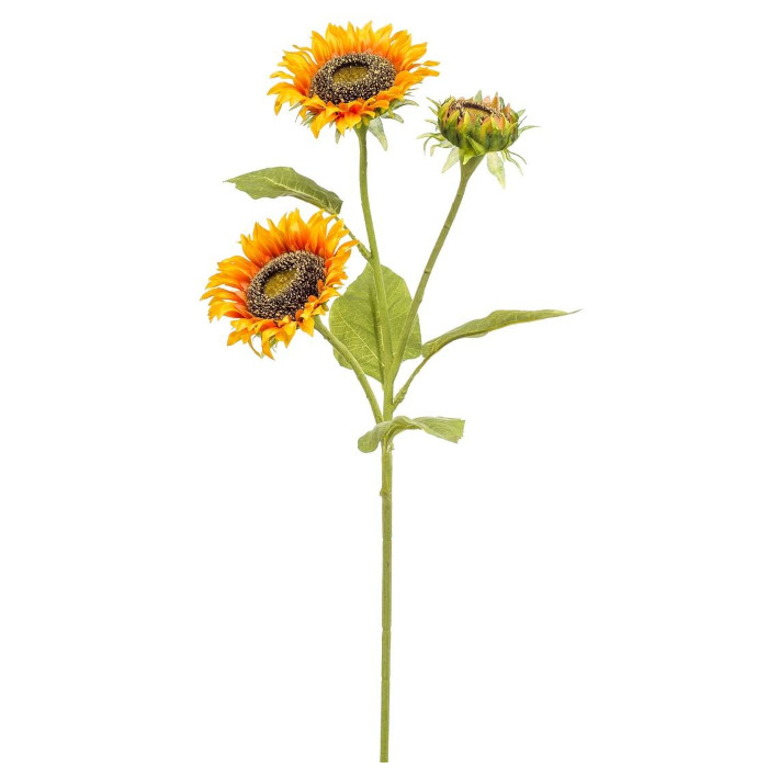 Sonnenblumen