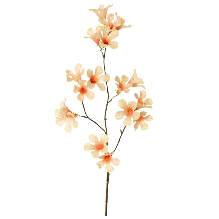 Trompetenblume