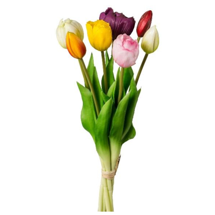 Tulpen