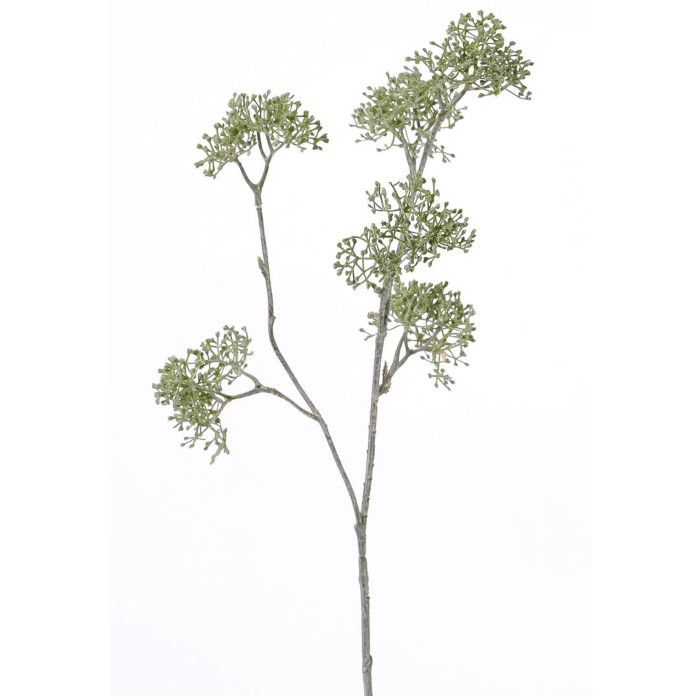 Wiesenkerbel