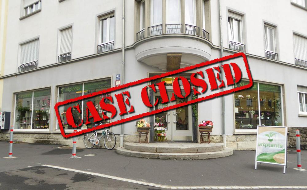 Kunstpflanzen Laden in Wrzburg  Mission Failed?