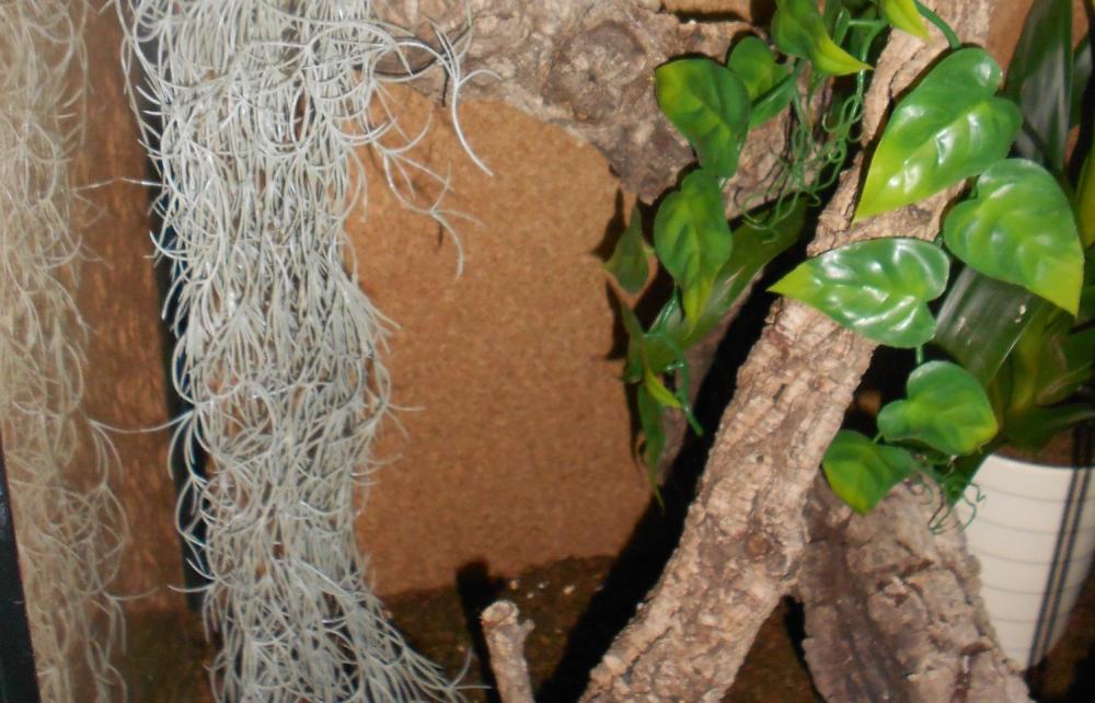 Einsatz von Kunstpflanzen in der Tierwelt
