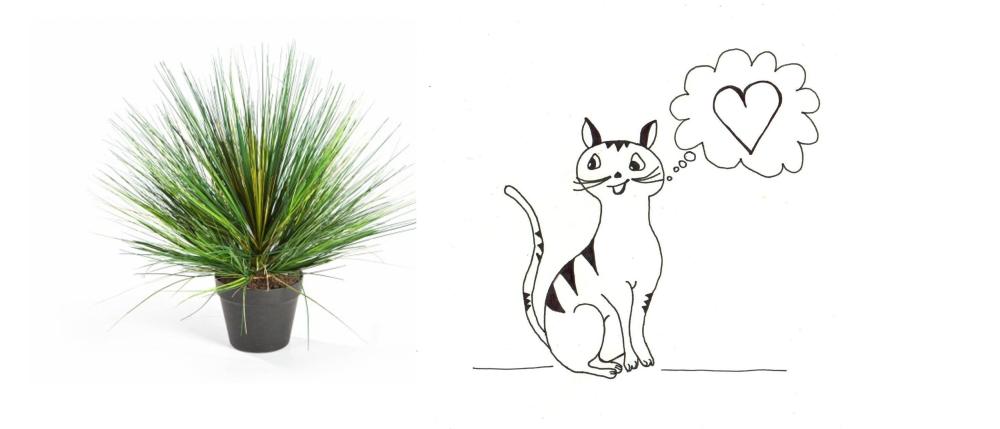 Katzen und Kunstpflanzen?