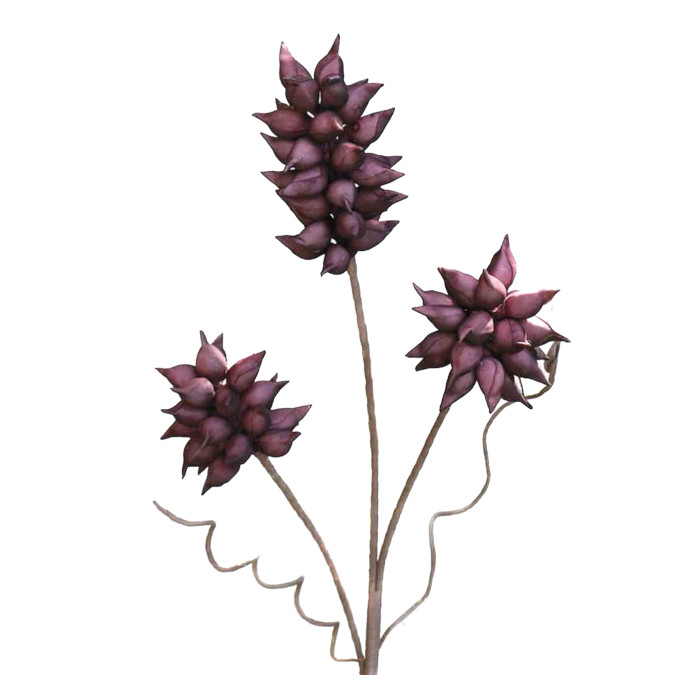 Blauglockenbaum