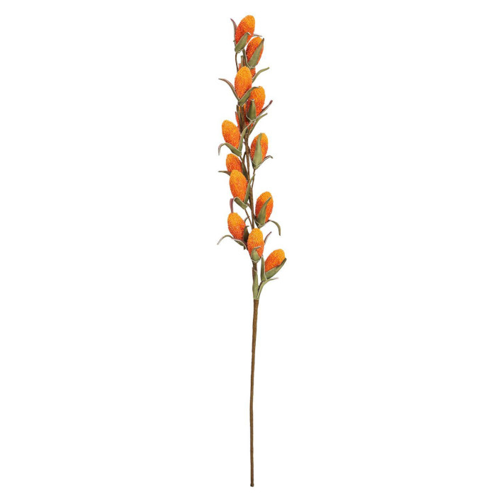 Buriti Palme