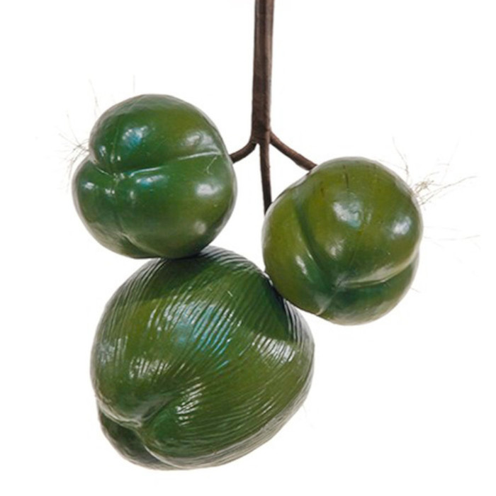 Kokosnuss