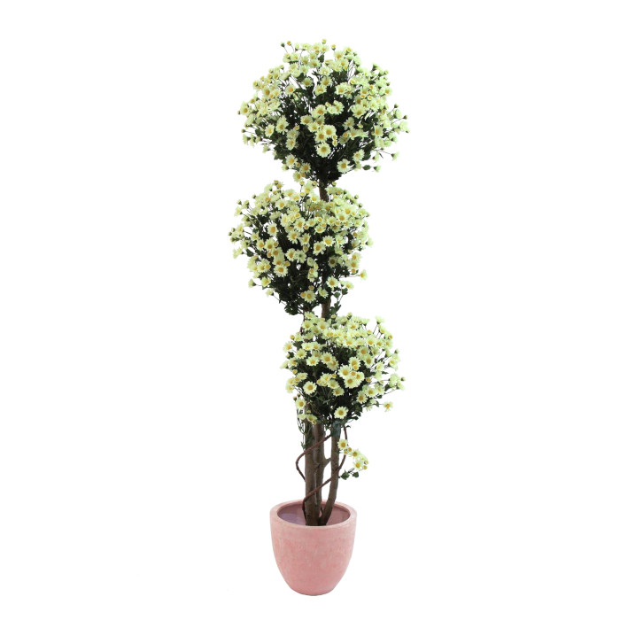 Margeritenbaum