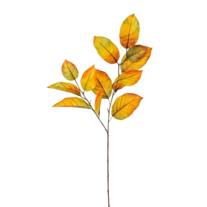 Maulbeerbaum