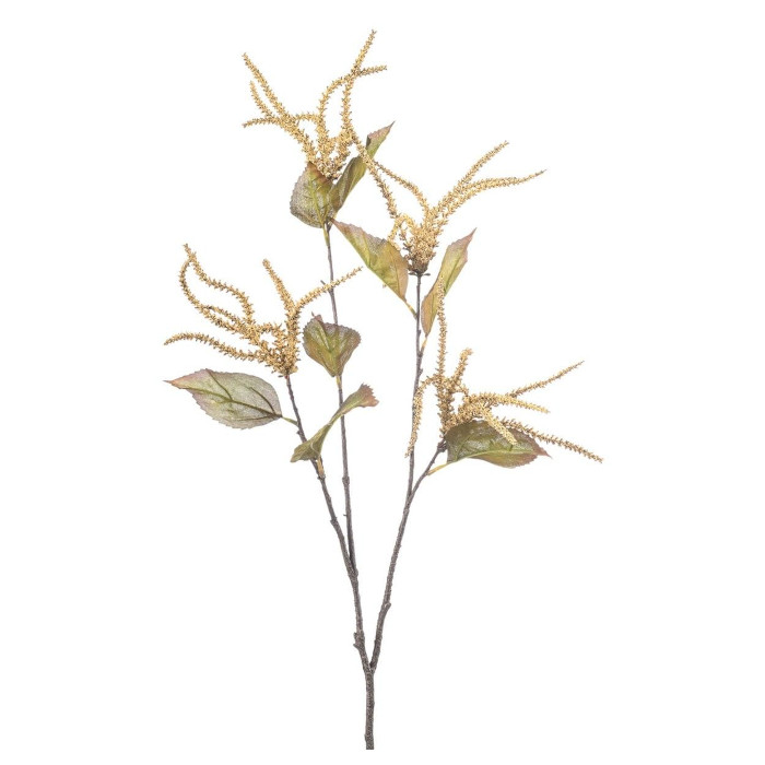 Pekannussbaum