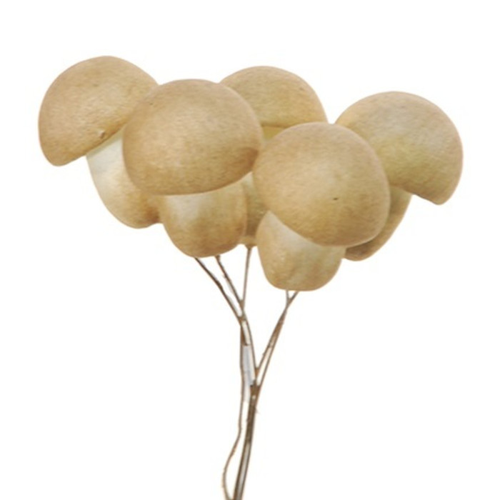 Pilz