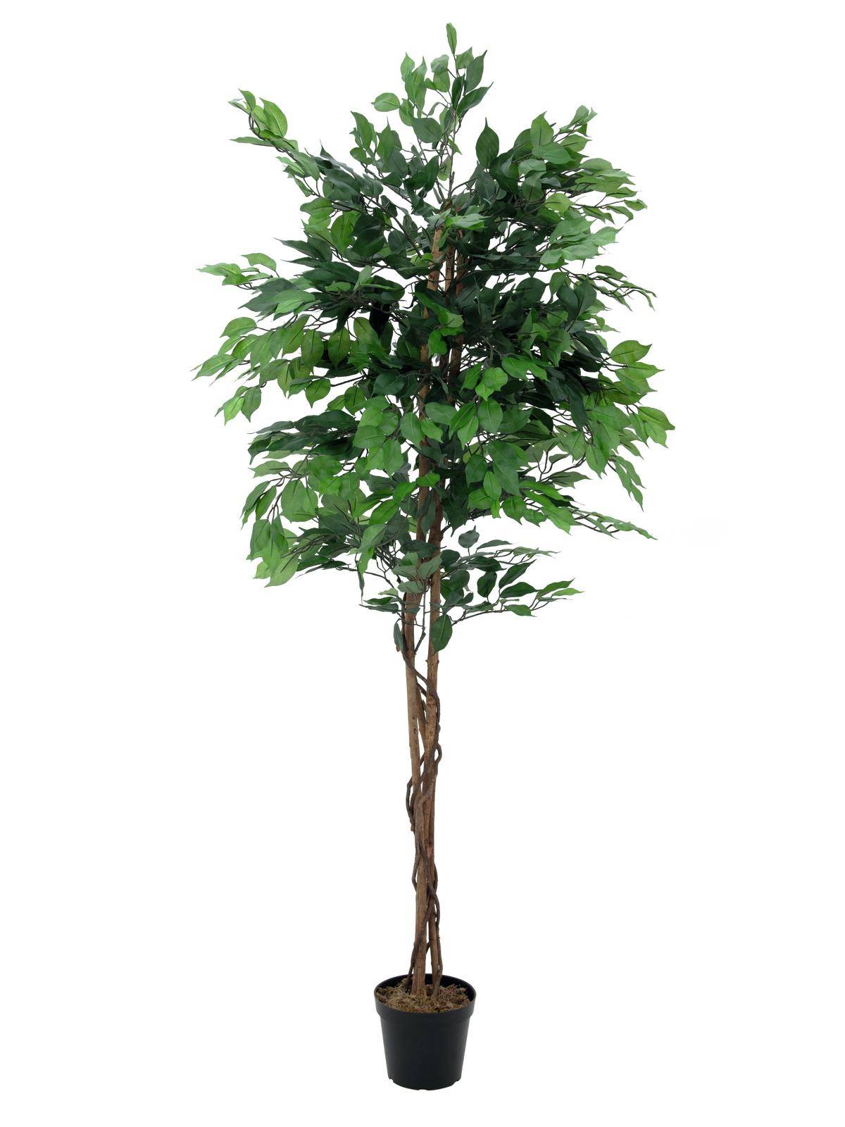 Decorative Ficus benjamina, 5 ft/150 cm - Artificial ficus tree in pot ...