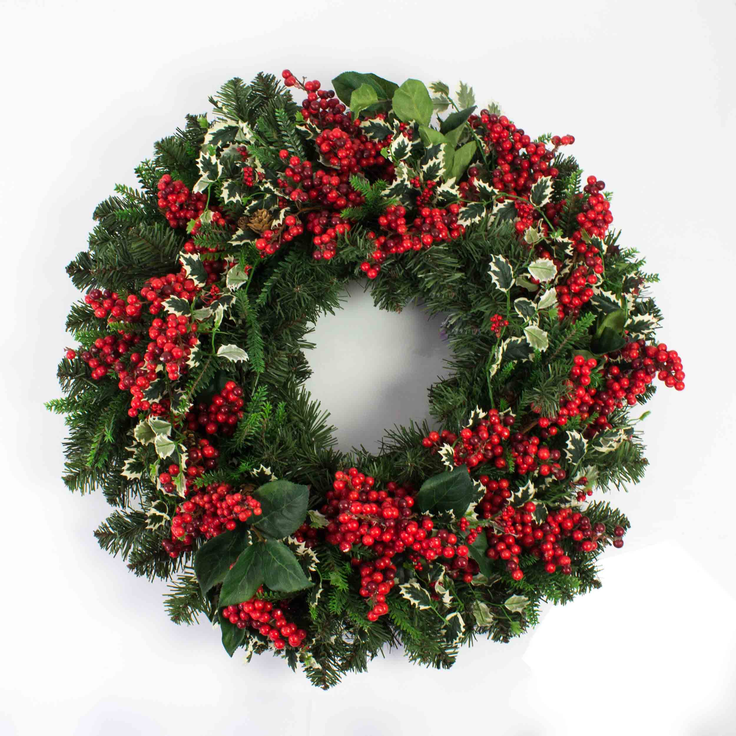 ilex stechpalme baum Amerikanische Stechpalme als Spalierbaum 'Nellie R. Stevens'