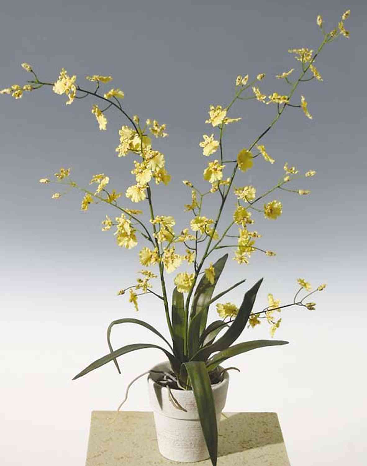 YOSEPHIN gelb, Kunst im Orchidee Oncidium Tontopf, 75cm