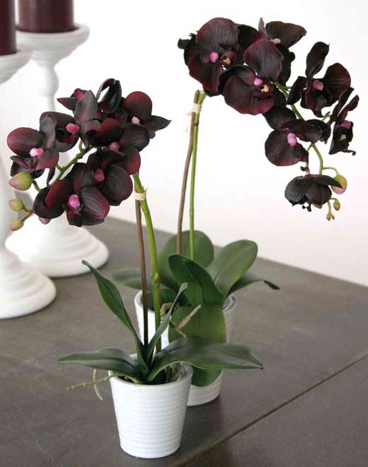 buskbo ikea blumenständer Buskbo Blumenständer Rattan – Beae main image 0