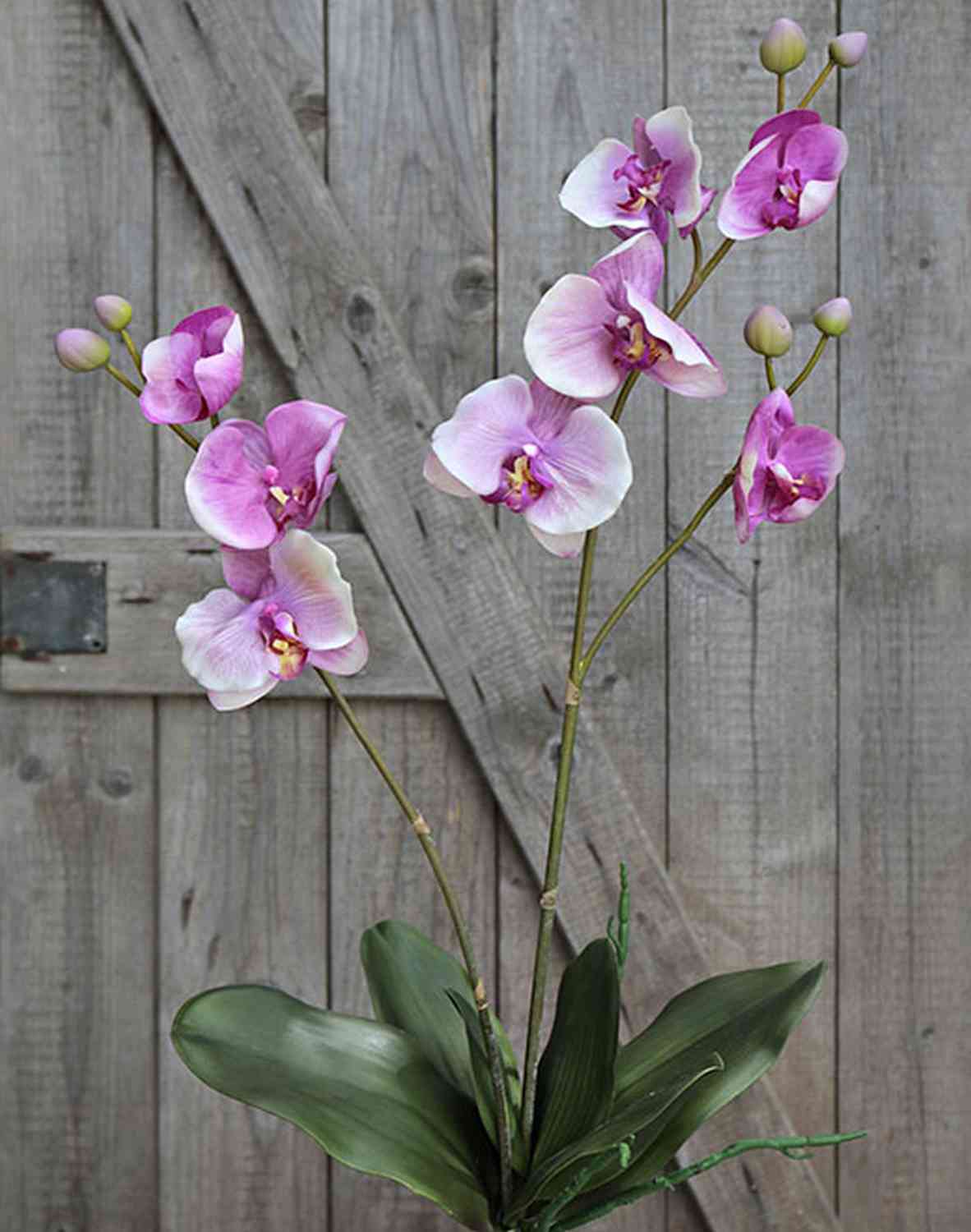 Orchideenstab Aus Kunststoff – Violett, Höhe 39 Cm, Mit 3 Halterungen, Dekorative Blütenstütze