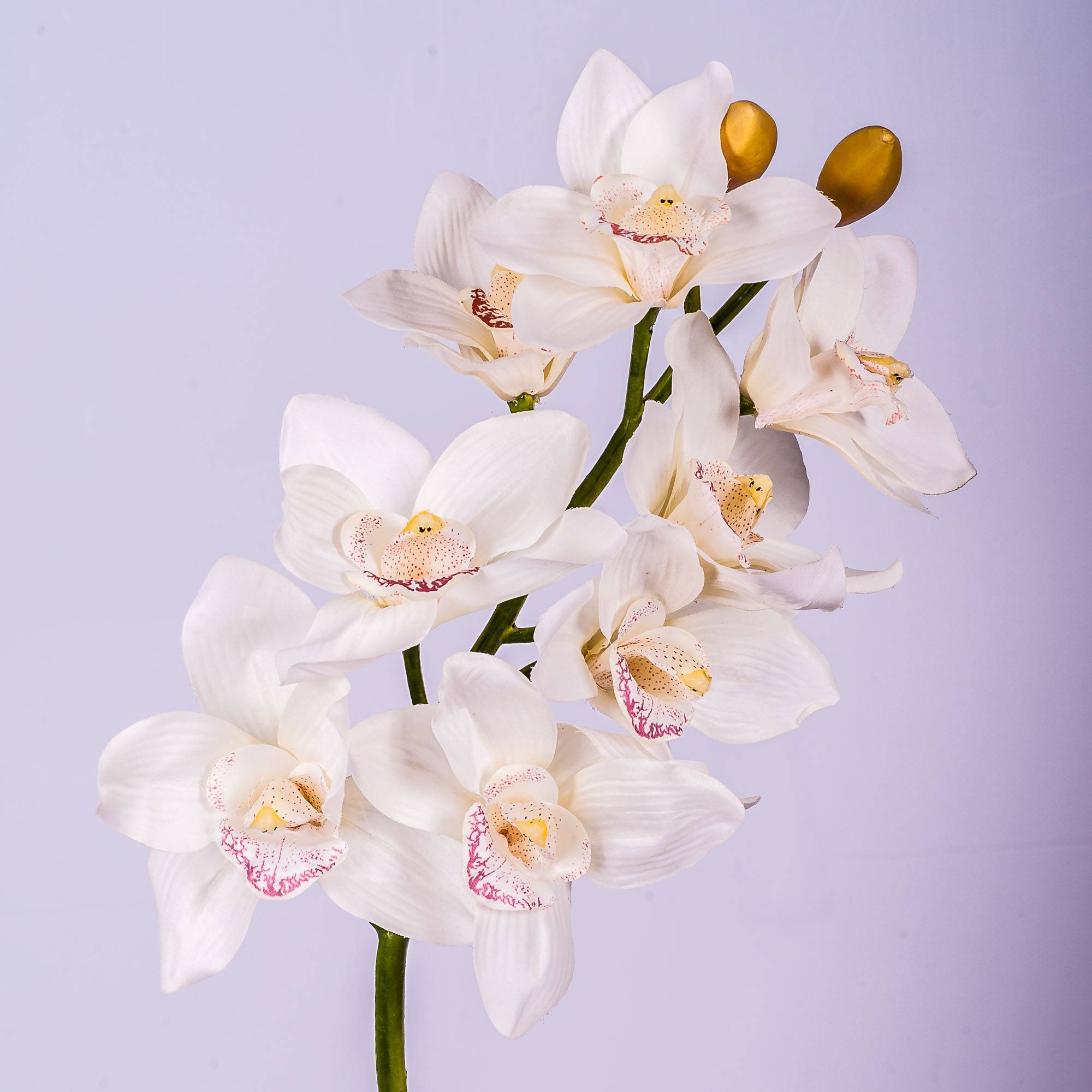 Kunstzweig Cymbidium Orchidee FEONA, wei, 60cm