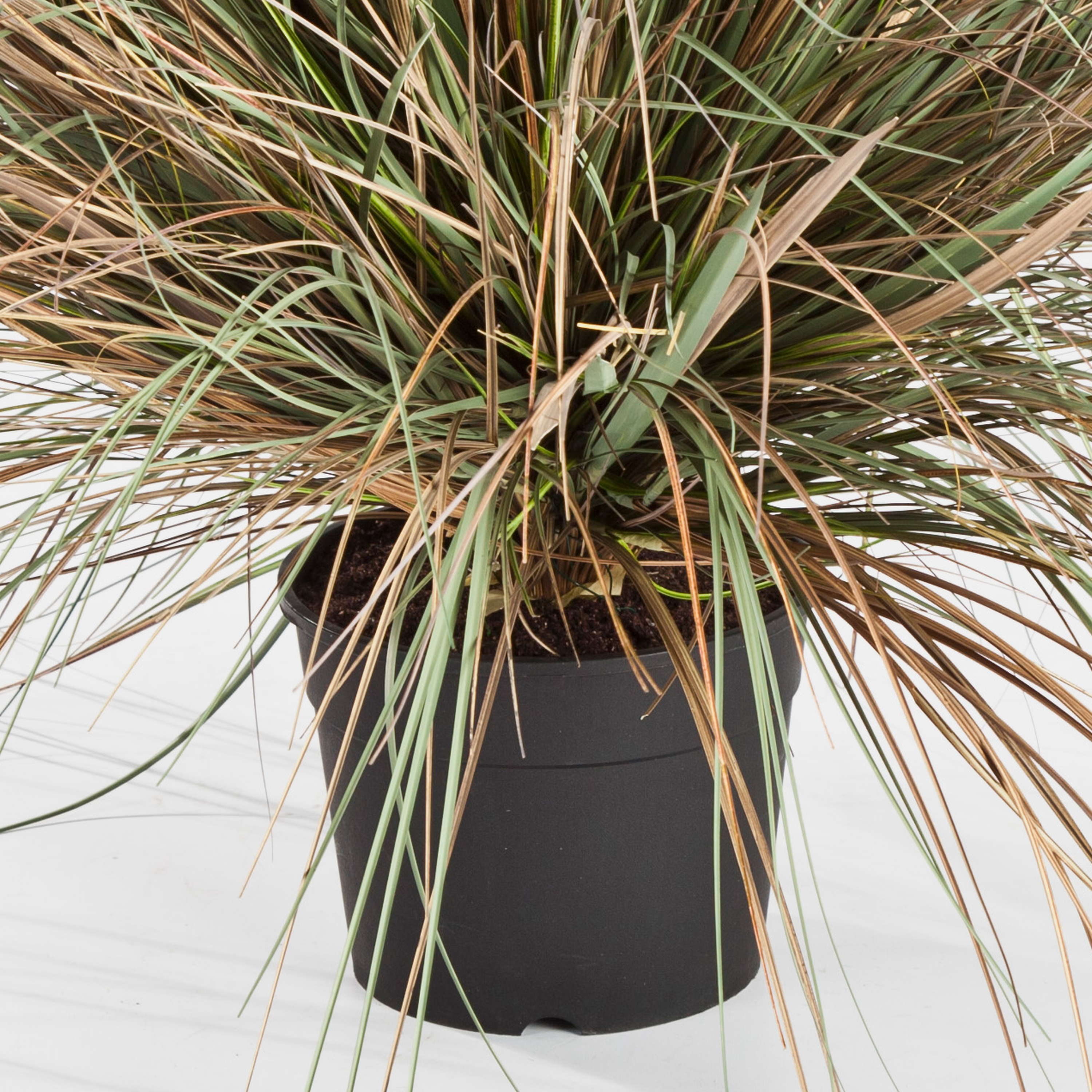 künstlicher weihnachtsbaum mit stamm Salcar Künstlicher Weihnachtsbaum mit echtem Holzstamm – 100 % PE, –  sekeymall main image 0