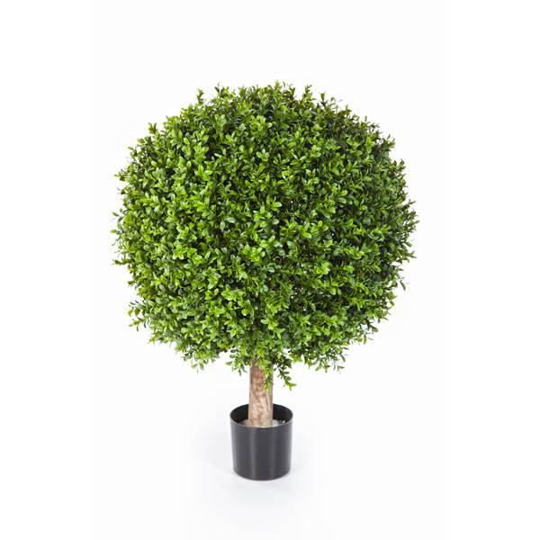 Knstlicher Buchsbaum TOM, Naturstamm, 55cm, 40cm