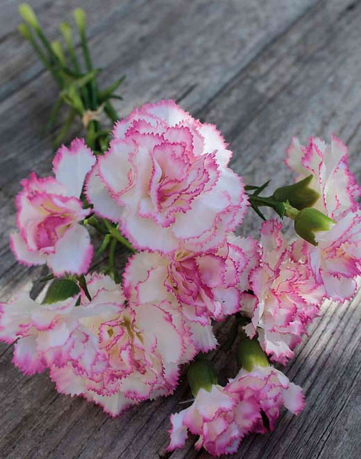 Kunst Nelkenstrauß CAROLINA, rosa-weiß, 30cm, Ø10cm