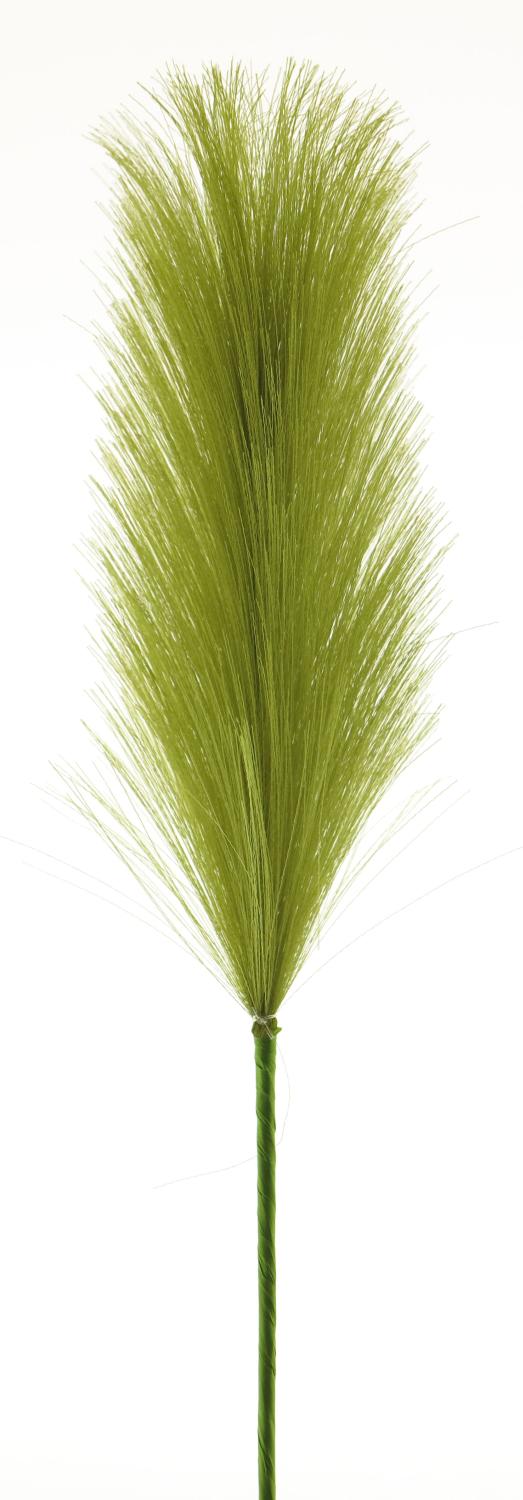 WENXUE, 40cm Dekozweig Rispe Pampasgras grün,
