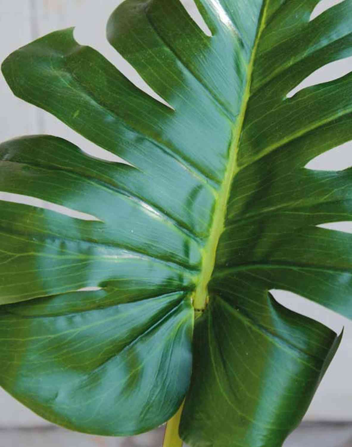 KERIM, Blatt Deliciosa 90cm Monstera Philodendron Plastik