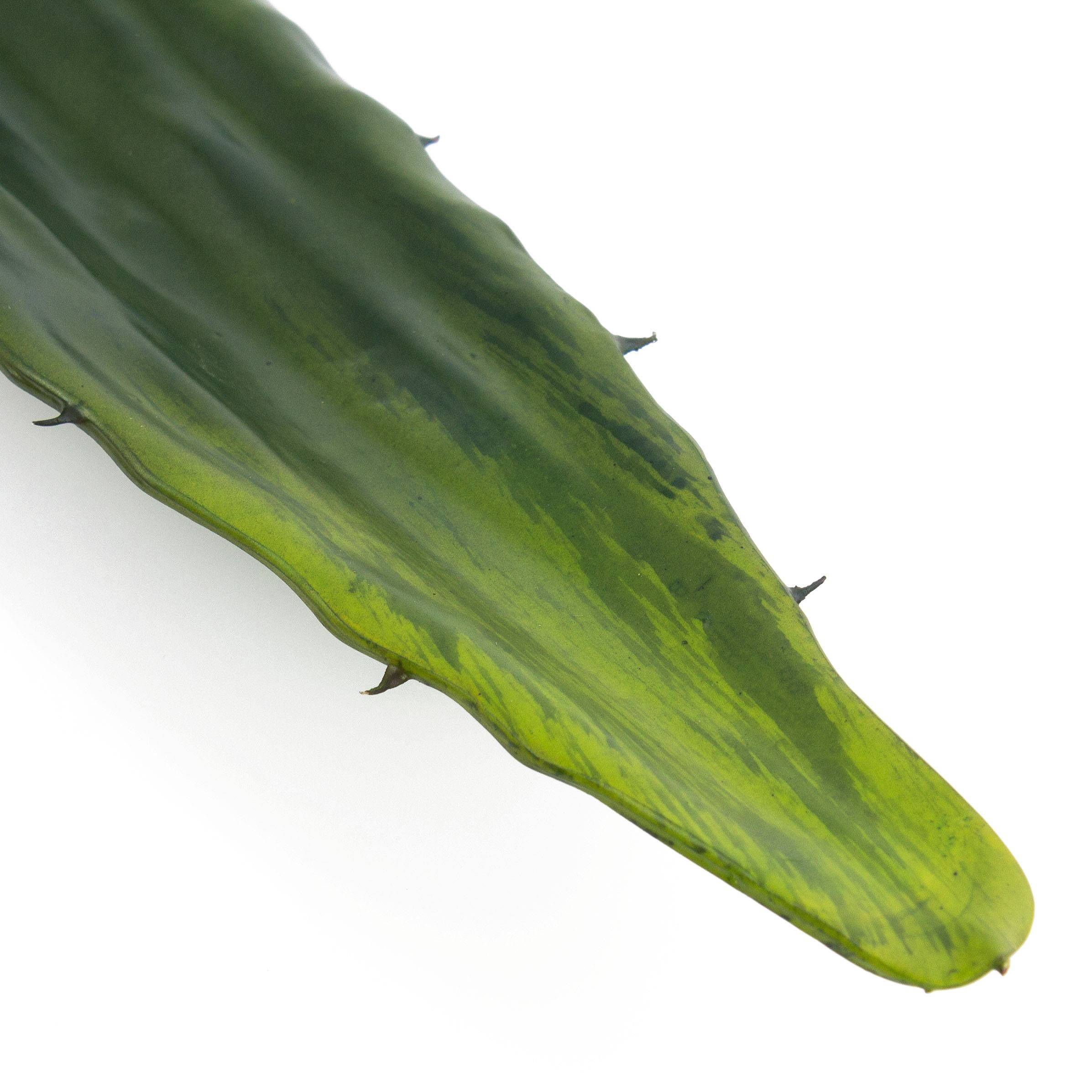 Vera Plastik Aloe KATALINA 60cm grün, Blatt