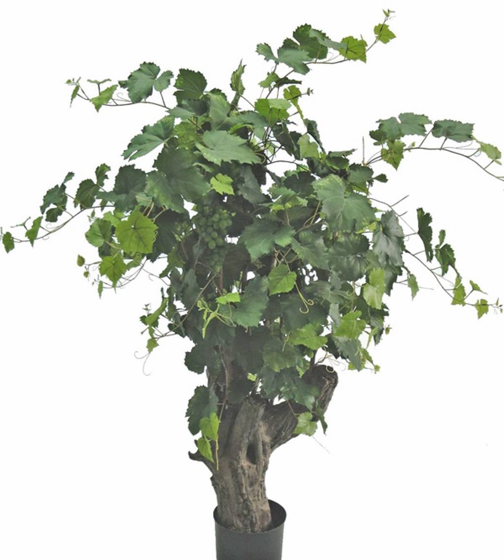pflanztopf 60 cm diabla I Gobi Blumentopf 60 cm, rund  GartenStuhl