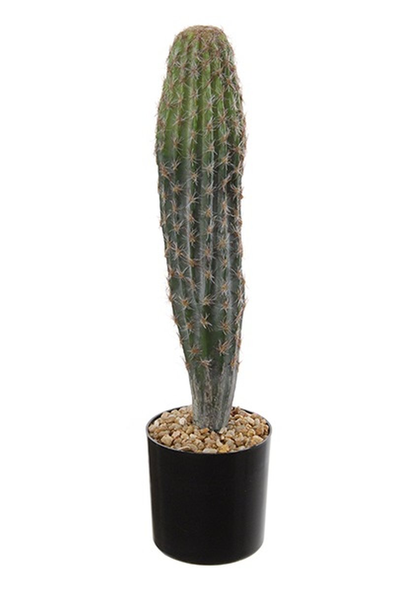Künstlicher Kaktus San Pedro DENIZ, grün, 40cm