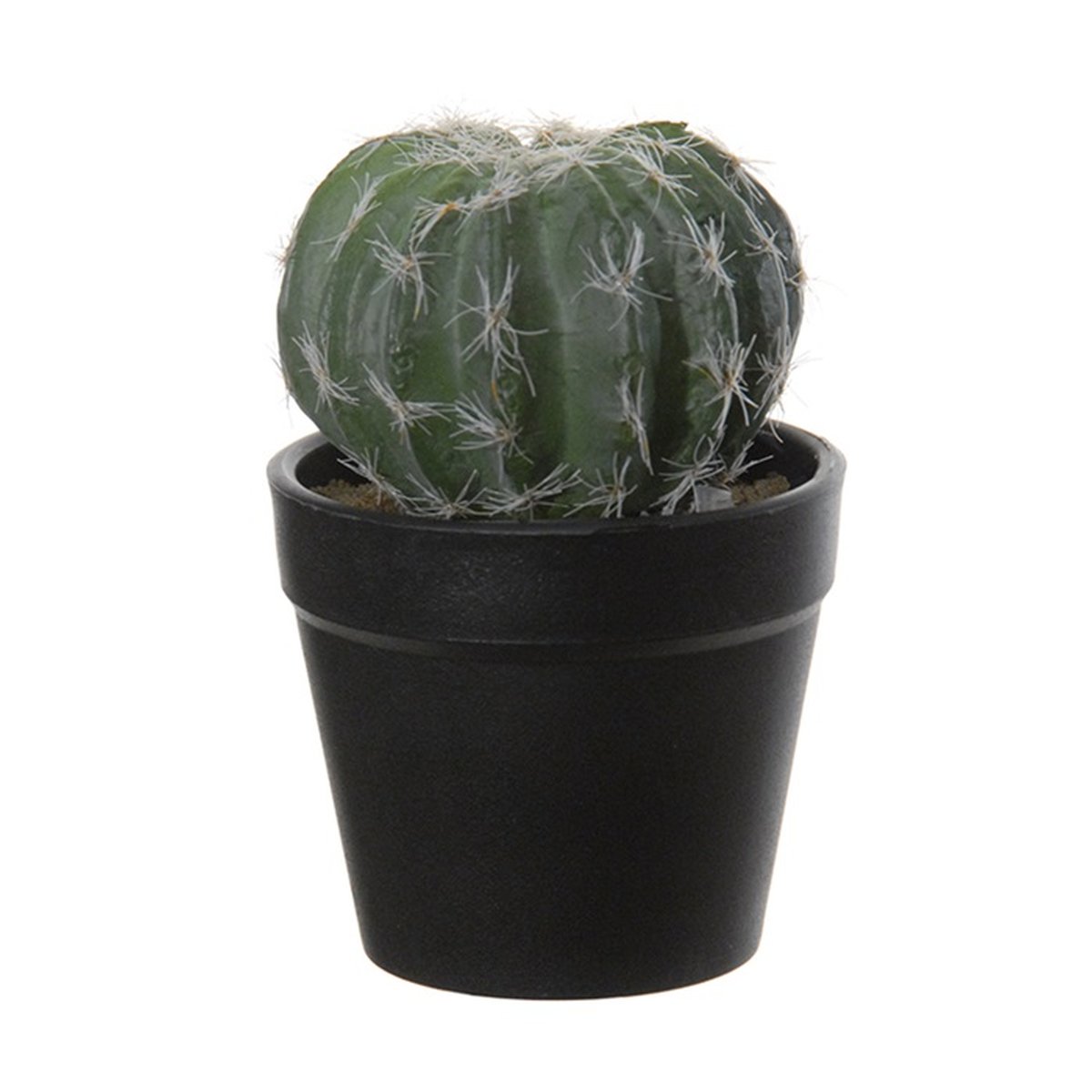 monstera mint kaufen Monstera deliciosa Mint variegata – Rarität kaufen main image 0