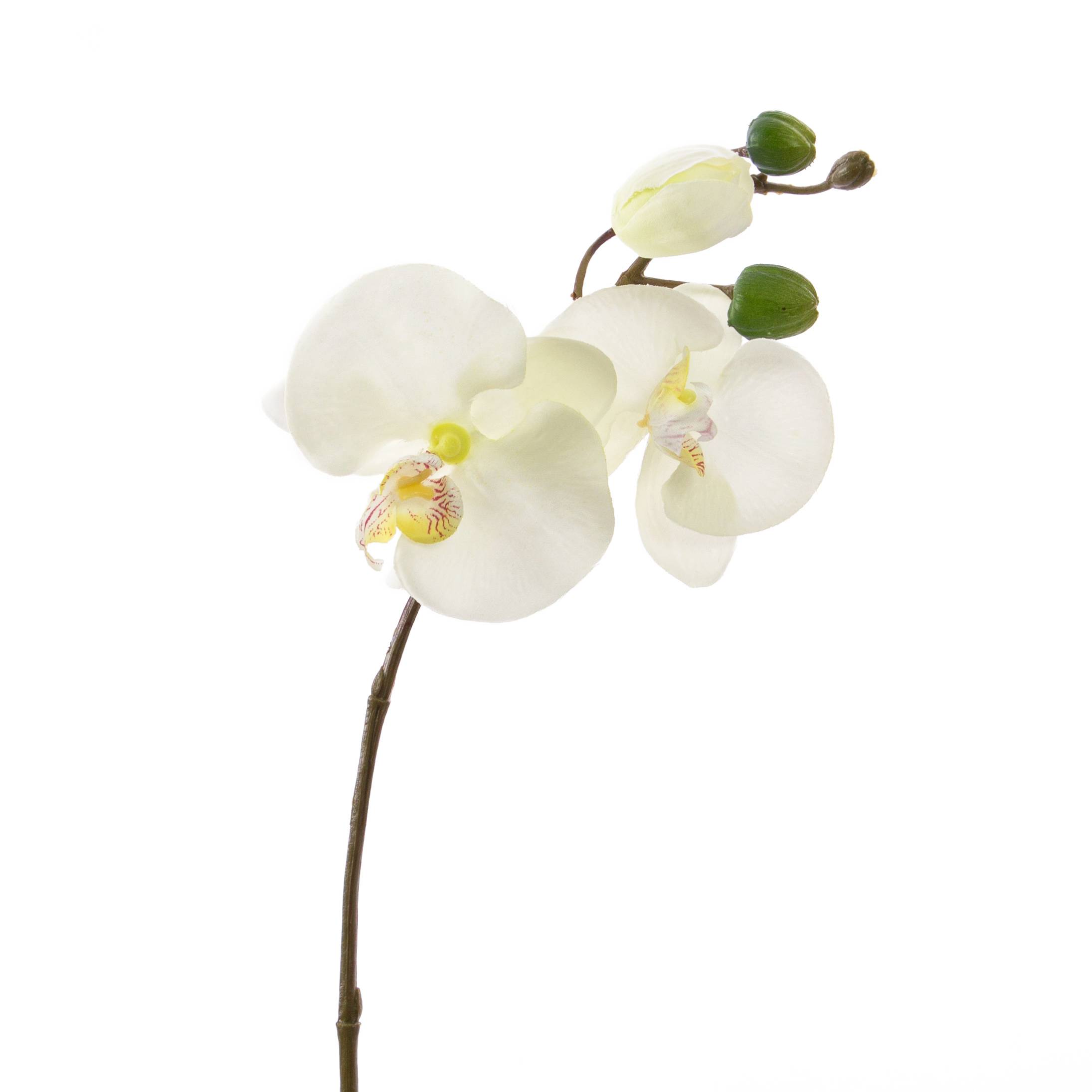 Kunstzweig Phalaenopsis Orchidee VANESSA weiß 30cm