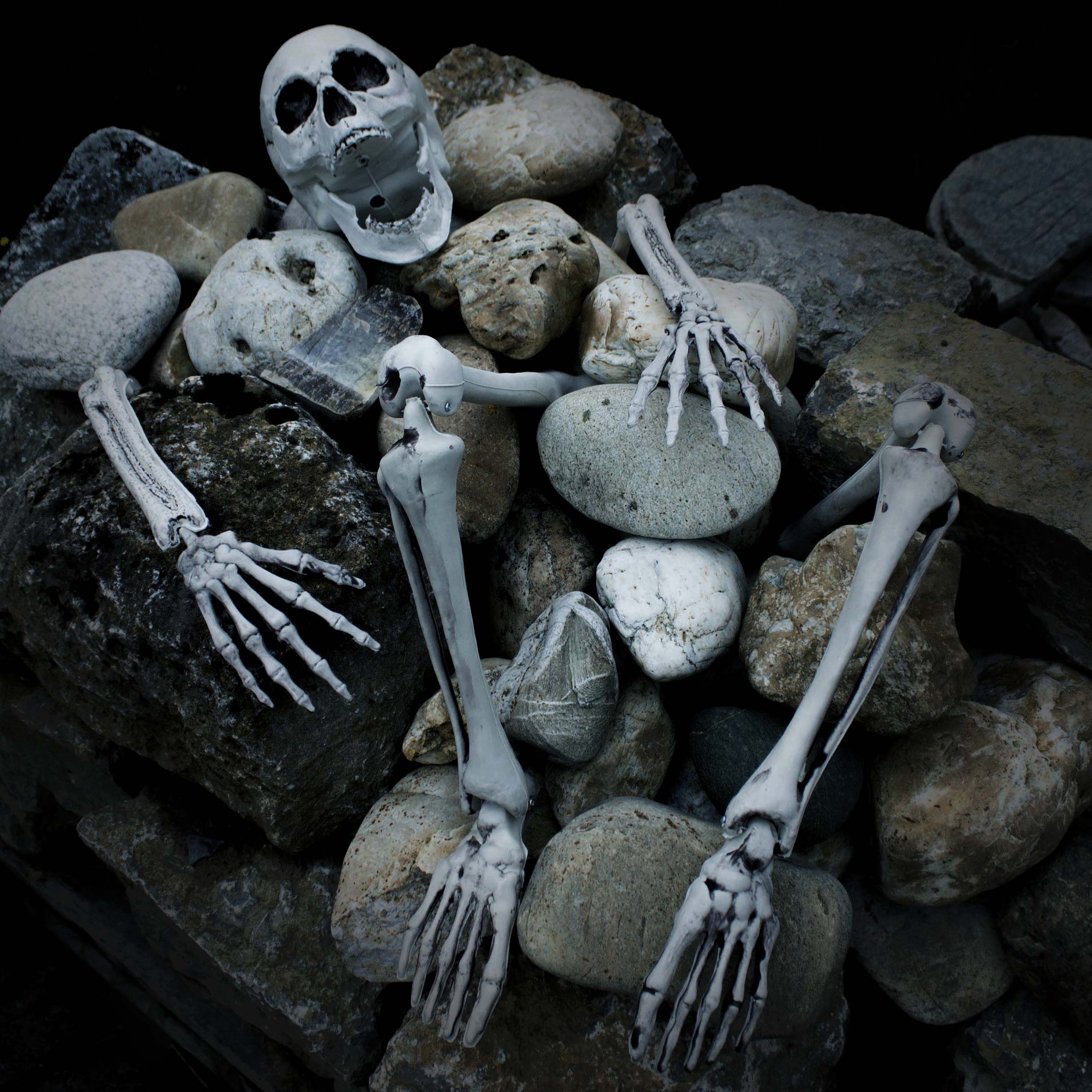 Halloween Dekoration Skelett Teile ADALBERT mit 5 Erdspieße, 19cm, 45cm,  66cm
