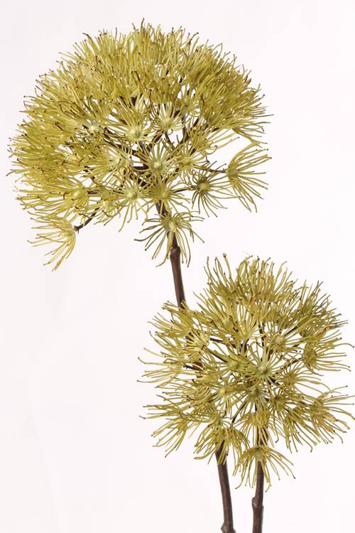 Knstlicher Brenklau AMAD, gelb, 95cm, 14-18cm