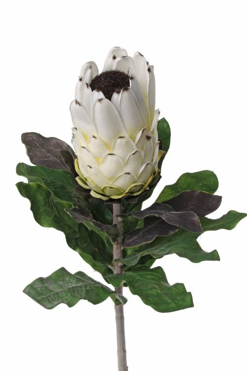 Kunstblume Protea NELLI weiß-gelb 75cm Ø8cm