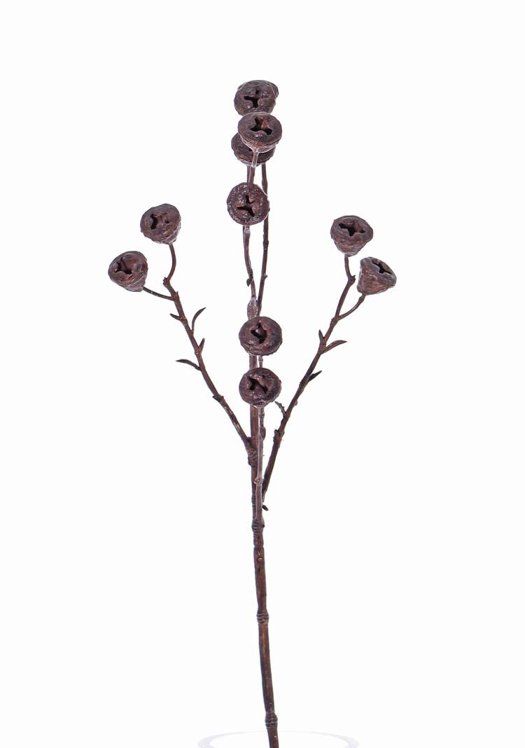Kunst Eukalyptus Zweig BASILIUS Früchte braun 60cm