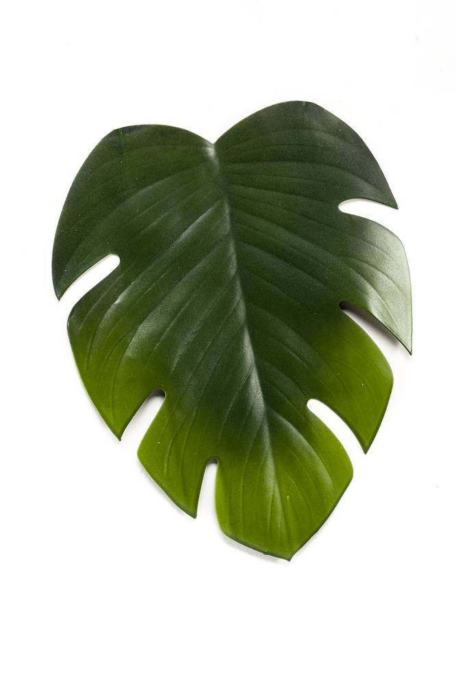 Kunst Philodendron Monstera Blatt Tischset WIA 46cm