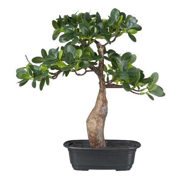 Knstlicher Baum Bonsai Ficus Panda PIRAPE in Dekoschale, 35cm
