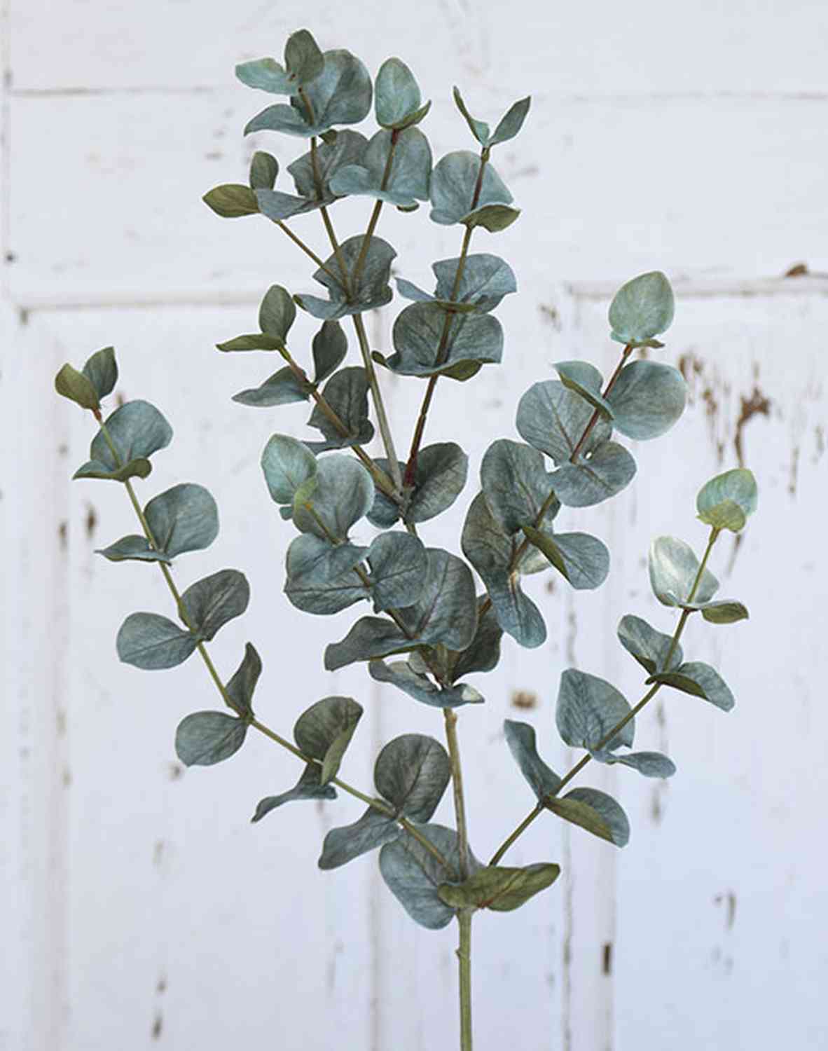 Künstlicher Eukalyptus Zweig INGOLF, grün-grau, 75cm
