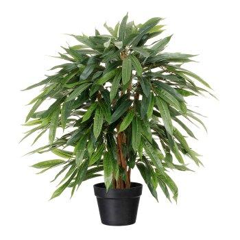 Kunstbaum Schmalblttrige Birkenfeige WHITTY, Echtstmme, im Dekotopf, 80cm