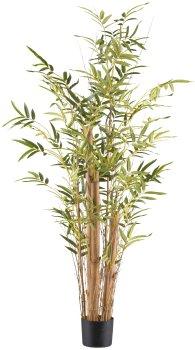 Kunstbaum Buddhas Bauch Bambus IRRAW, Naturstmme, 150cm