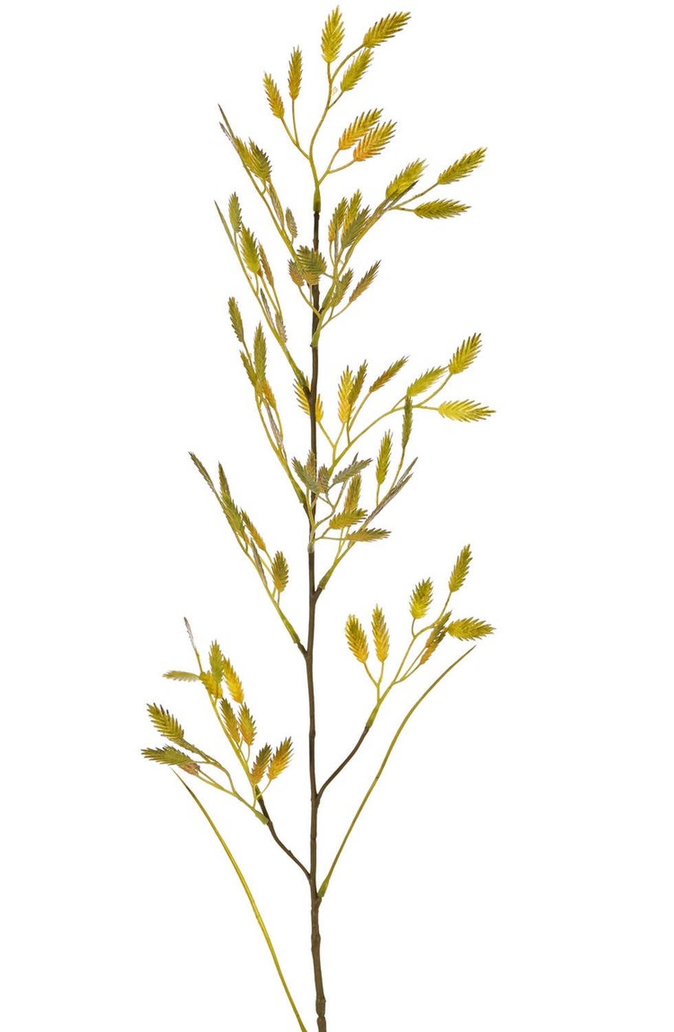 Kunstgras Plattährengras Zweig FUXIA mit Ähren, gelb-grün, 100cm