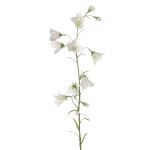 Künstliche Glockenblume GISELA, weiß, 65cm, Ø1-4cm