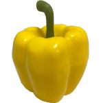 Künstliches Gemüse Paprika REKLA, gelb, 8cm, Ø7,5cm