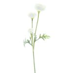 Dekozweig Ranunkel TRITO, creme, 35cm